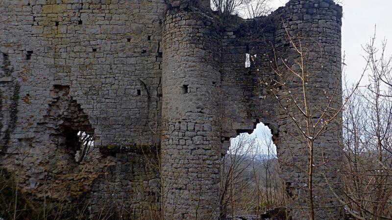 Chateau de Haute Roche